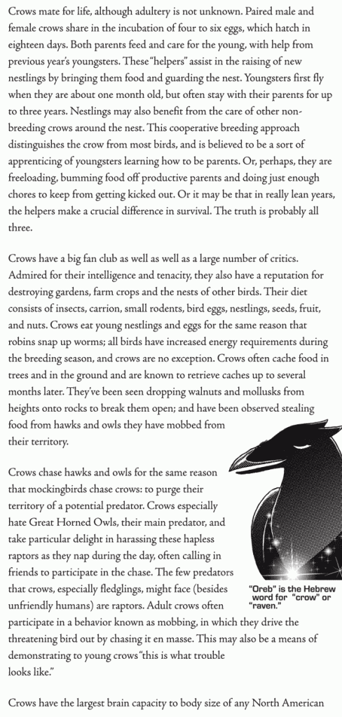 Crow Princess, Page 43